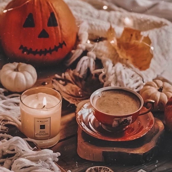 Cozy Fall Settings✨🍂✨ - Picture 2 of 5